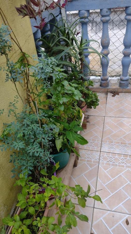 Hospedagem Domiciliar Alternativa Balneário Camboriú 外观 照片